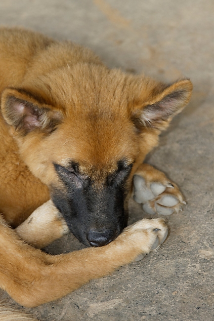 Famille et amis NOV12-002